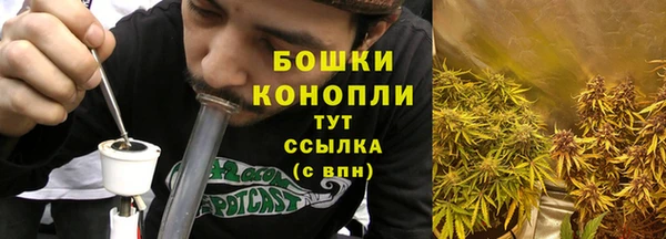 spice Белокуриха